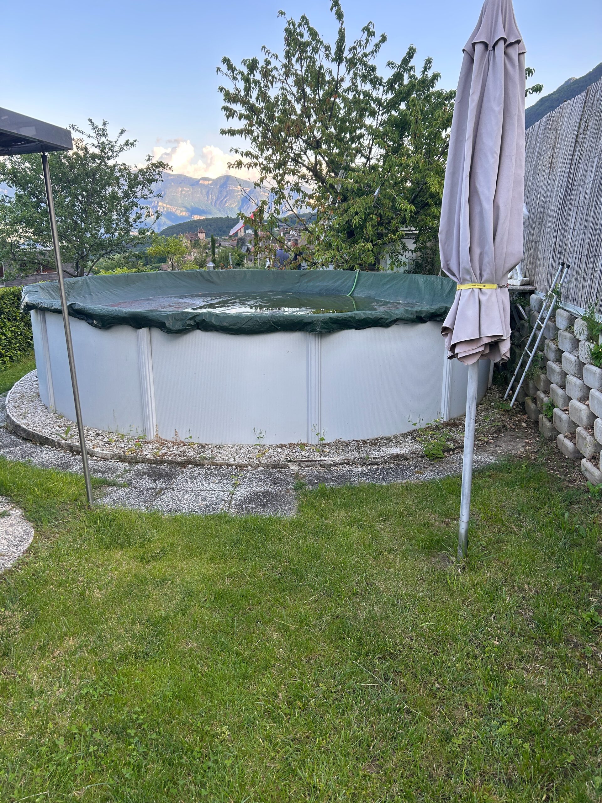 Pool im Garten